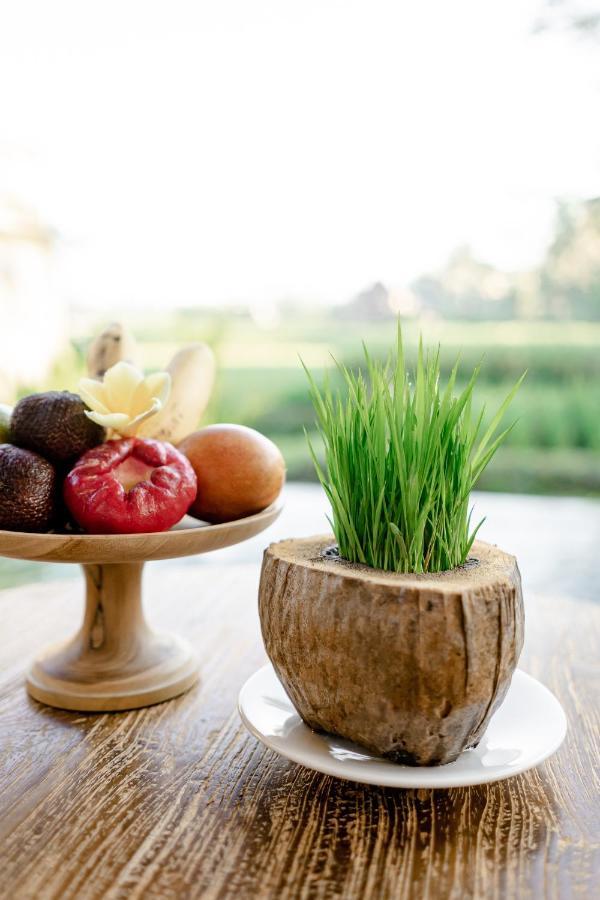 Poka Ubud Hidden Paradise & Spa By Eps Esterno foto